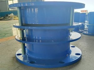 双法兰限位伸缩器
